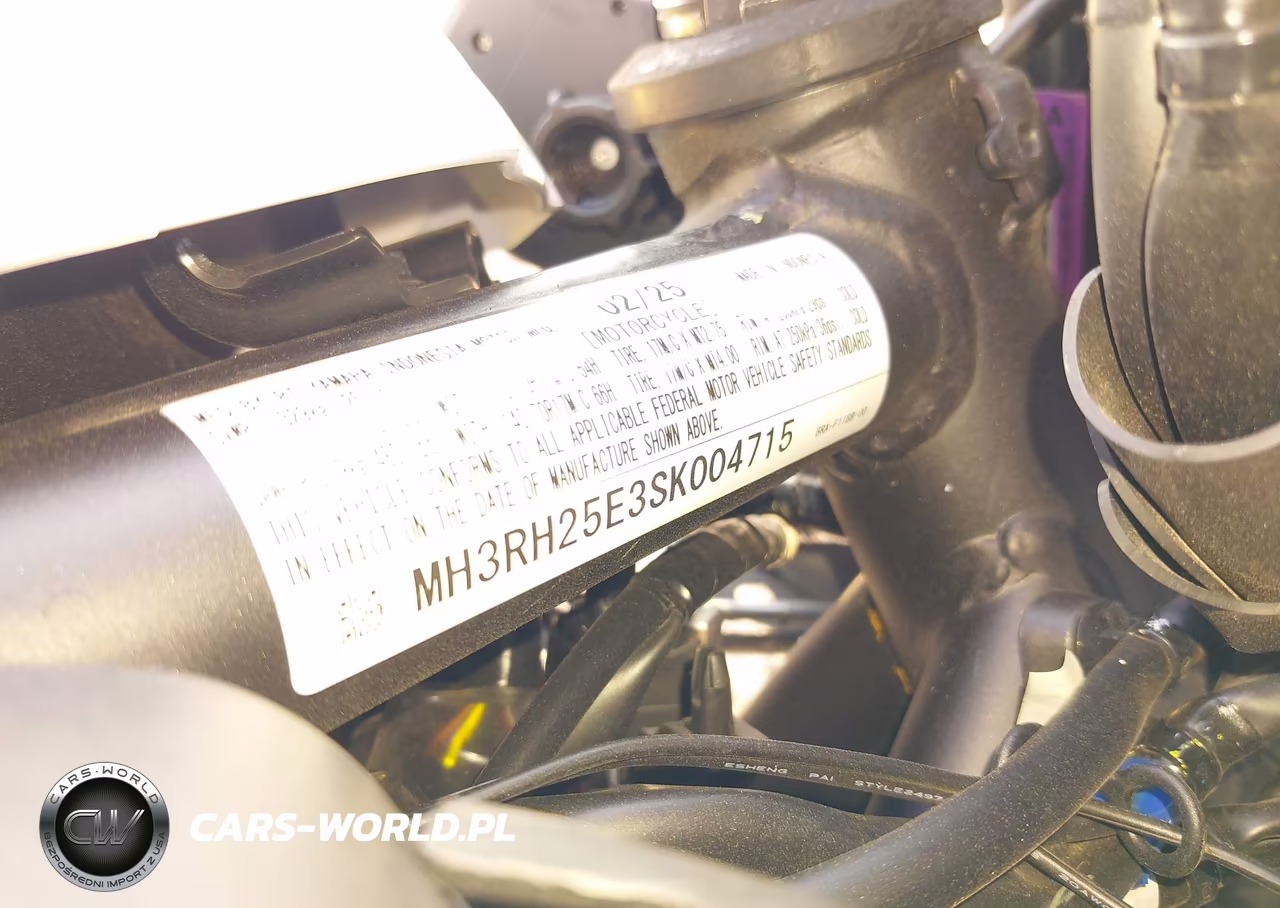 2025 Yamaha Yfz320 A VIN:MH3RH25E3SK004715 - 10