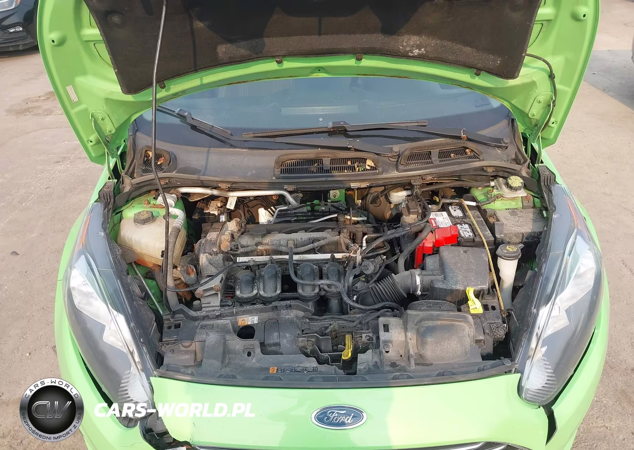 2014 Ford Fiesta Se VIN:3FADP4BJ9EM132047 - 10