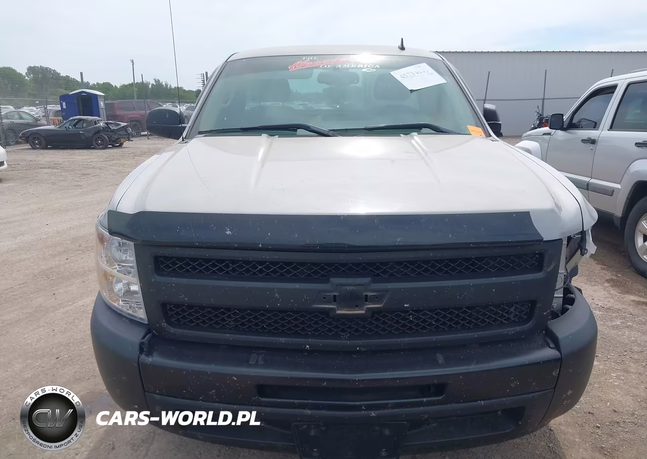 2009 Chevrolet Silverado 1500 Work Truck VIN:1GCEC14X09Z238904 - 12