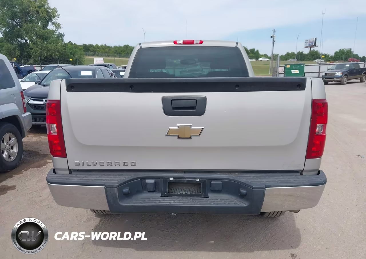 2009 Chevrolet Silverado 1500 Work Truck VIN:1GCEC14X09Z238904 - 16