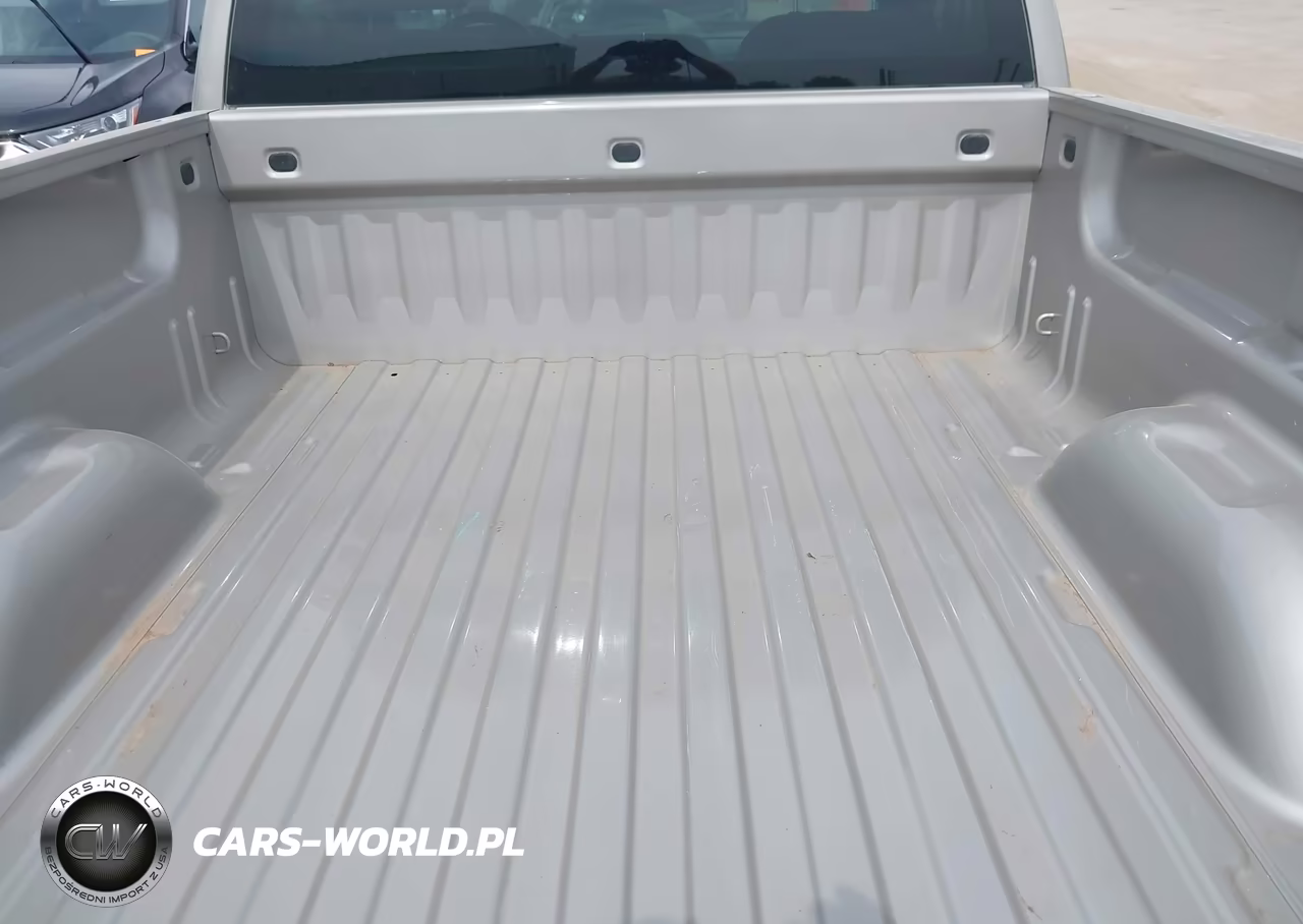 2009 Chevrolet Silverado 1500 Work Truck VIN:1GCEC14X09Z238904 - 17