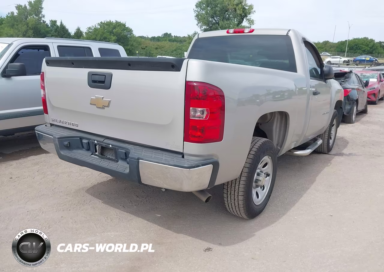 2009 Chevrolet Silverado 1500 Work Truck VIN:1GCEC14X09Z238904 - 4