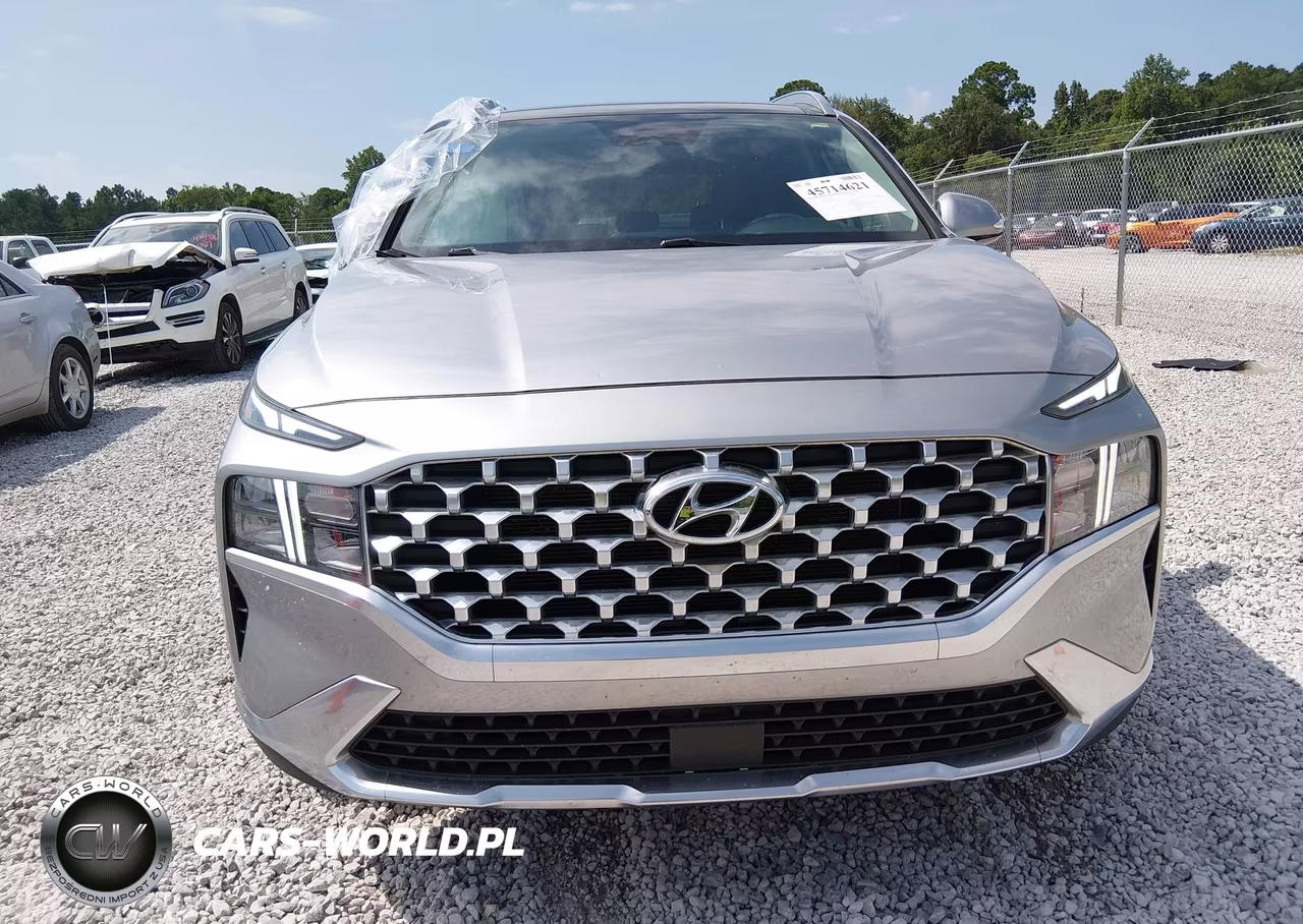 2021 Hyundai Santa Fe Sel VIN:5NMS34AJ5MH334643 - 12