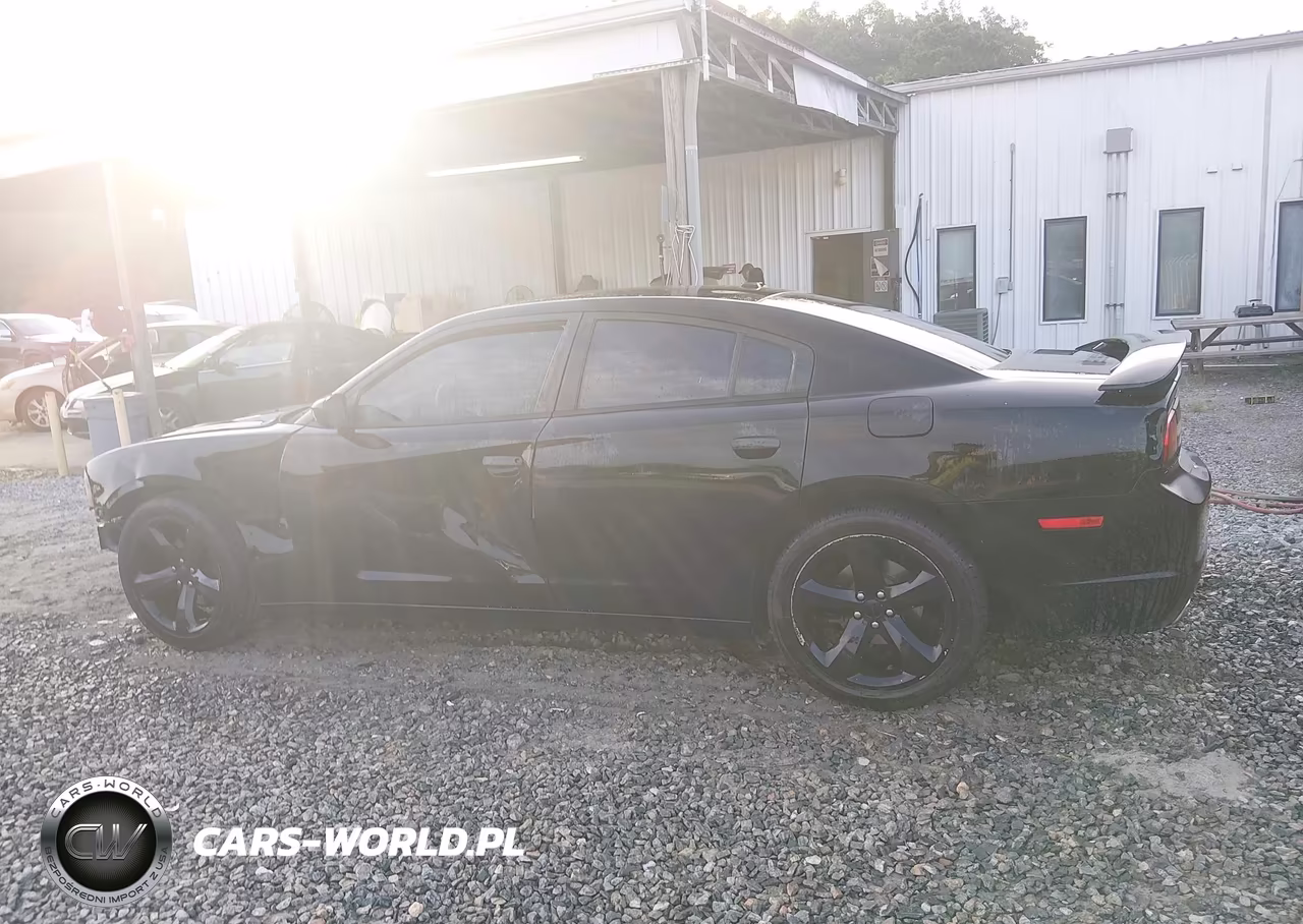 2014 Dodge Charger Sxt VIN:2C3CDXHG0EH113241 - 14