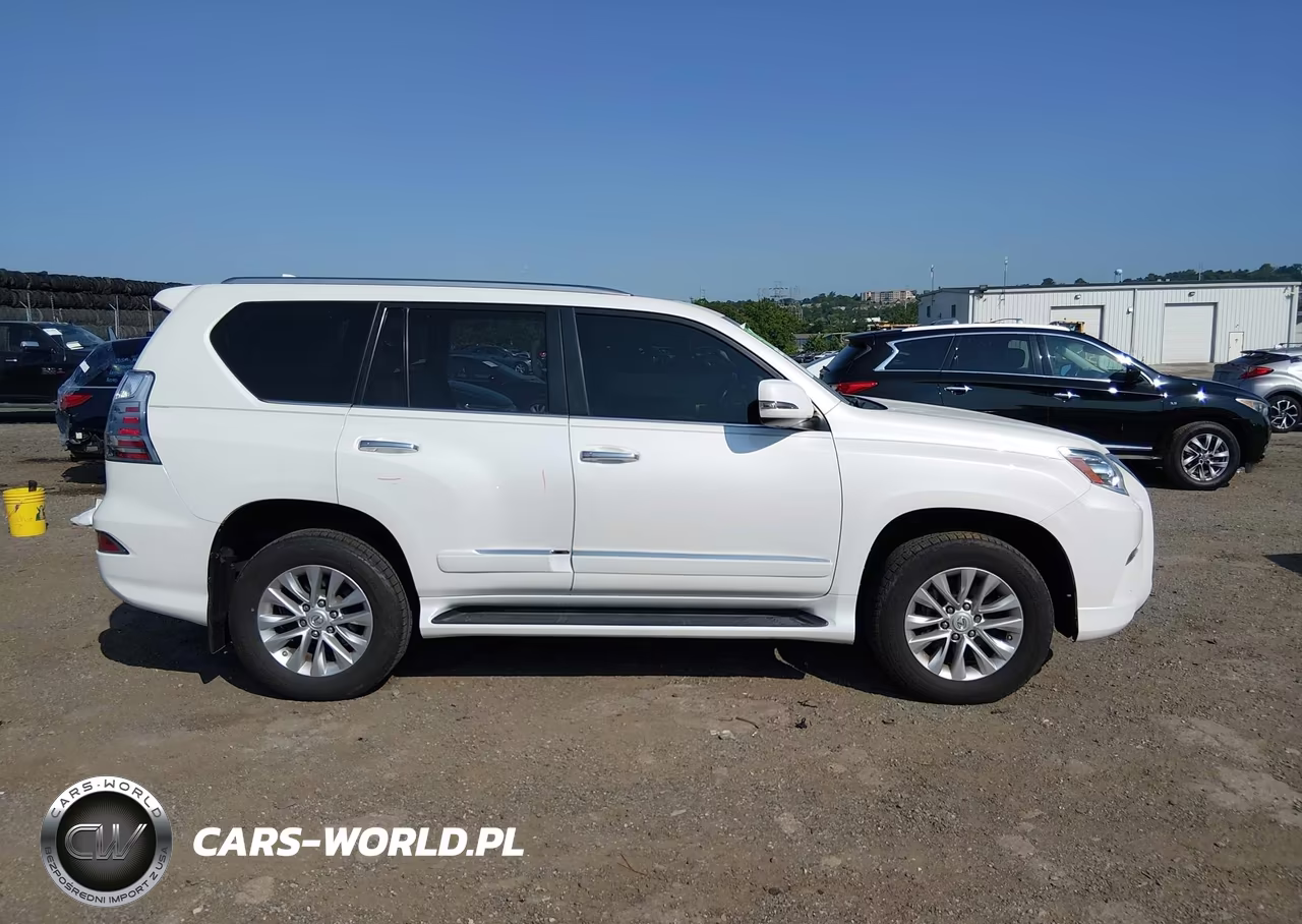 2019 Lexus Gx 460 Premium VIN:JTJBM7FX5K5233840 - 13