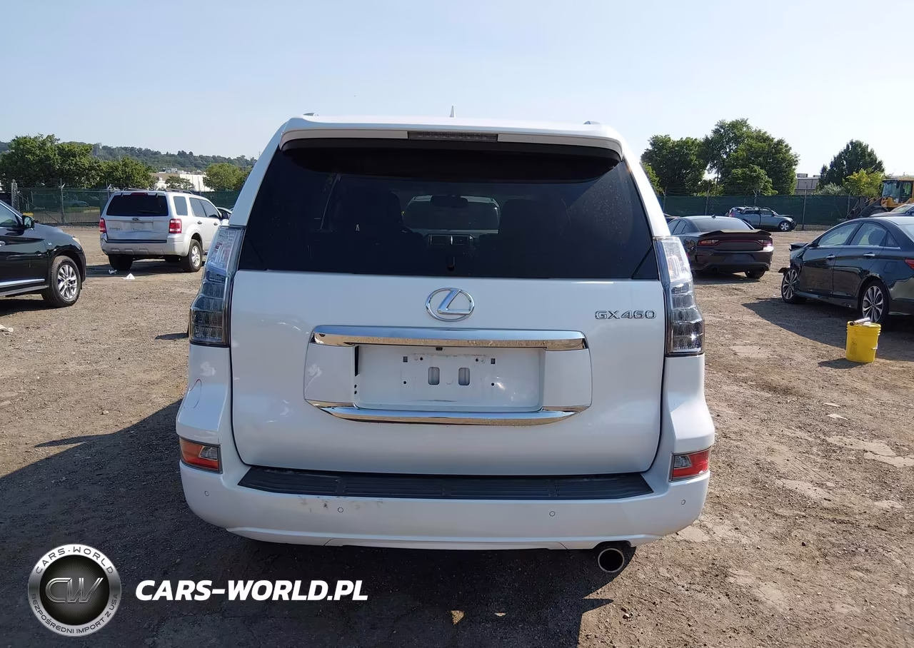 2019 Lexus Gx 460 Premium VIN:JTJBM7FX5K5233840 - 16