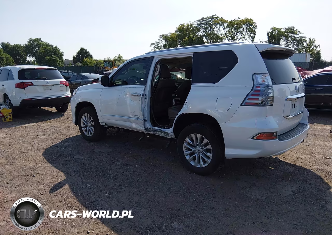 2019 Lexus Gx 460 Premium VIN:JTJBM7FX5K5233840 - 3