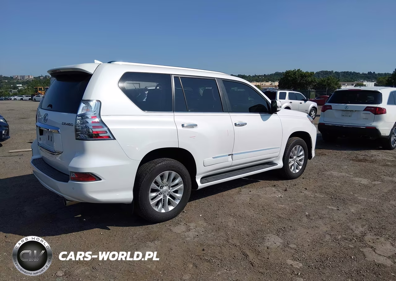 2019 Lexus Gx 460 Premium VIN:JTJBM7FX5K5233840 - 4