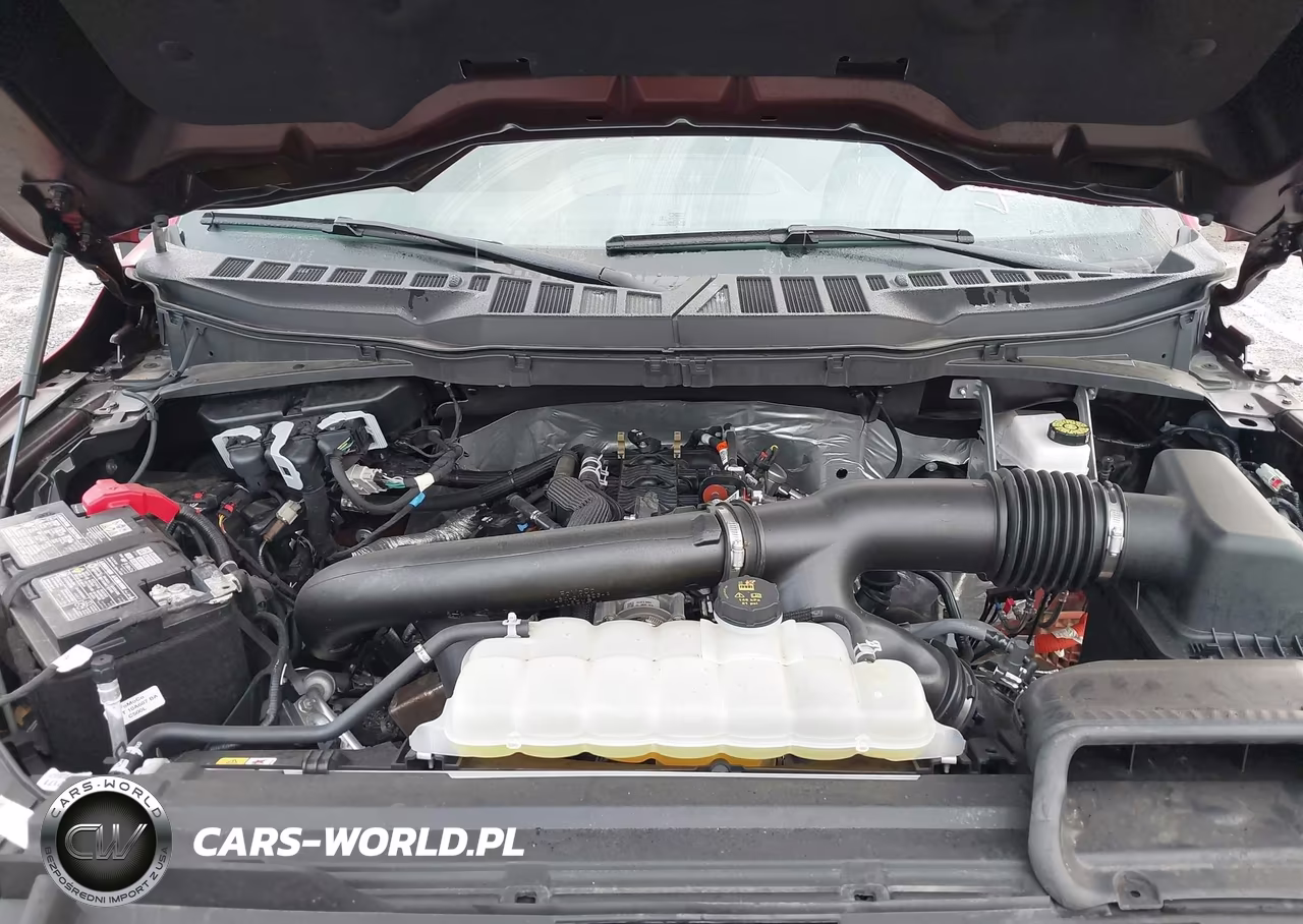 2025 Ford F-150 Xlt VIN:1FTFW3L86SKE20655 - 10