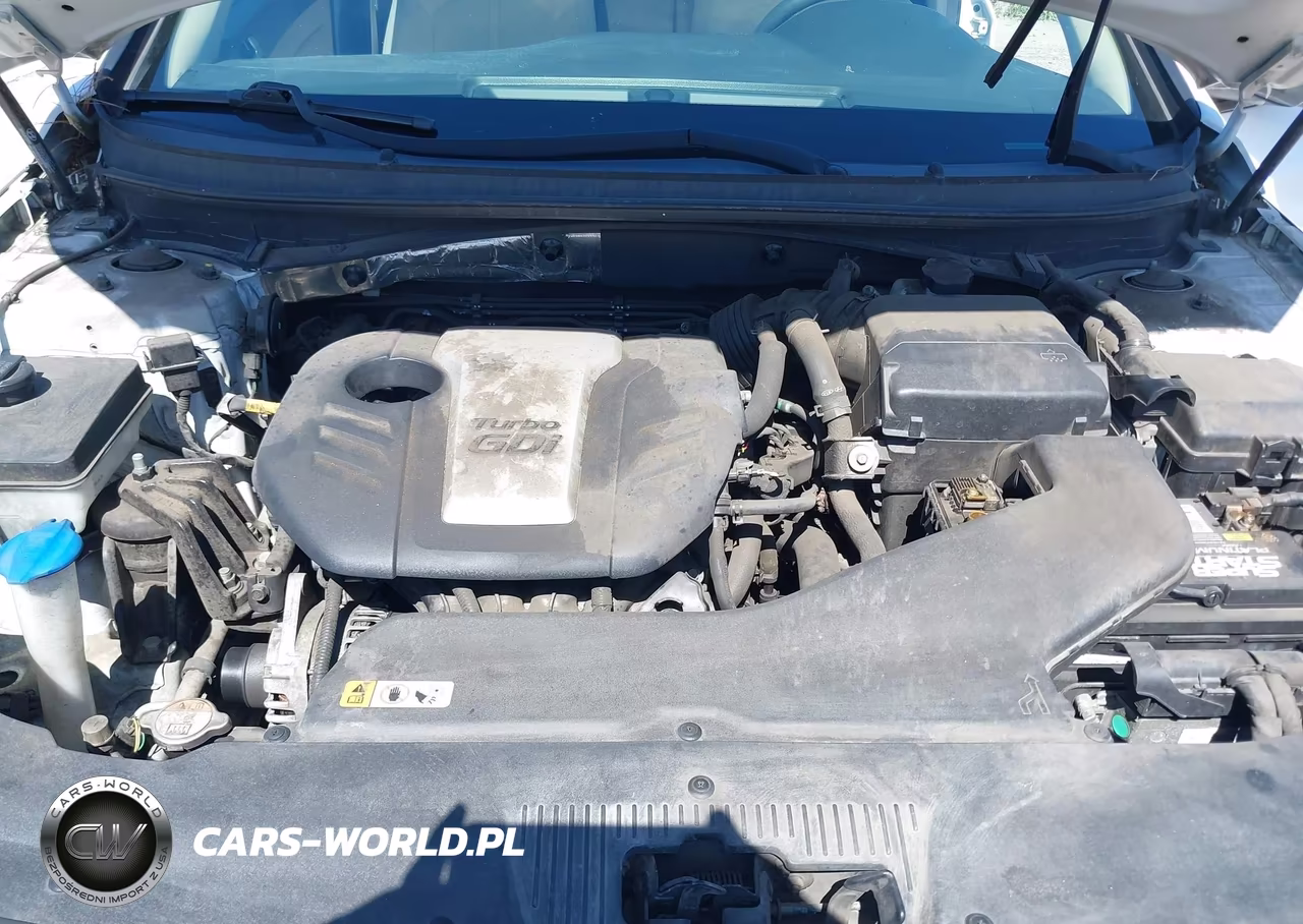 2015 Hyundai Sonata Eco VIN:5NPE24AA7FH156336 - 10