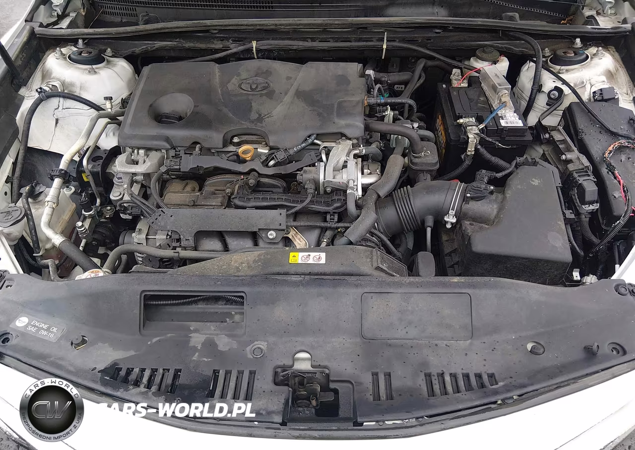 2020 Toyota Camry Se VIN:4T1M11AK4LU934272 - 10