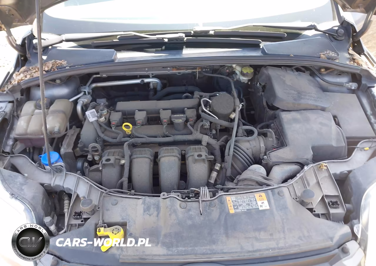 2014 Ford Focus Se VIN:1FADP3K22EL360993 - 10