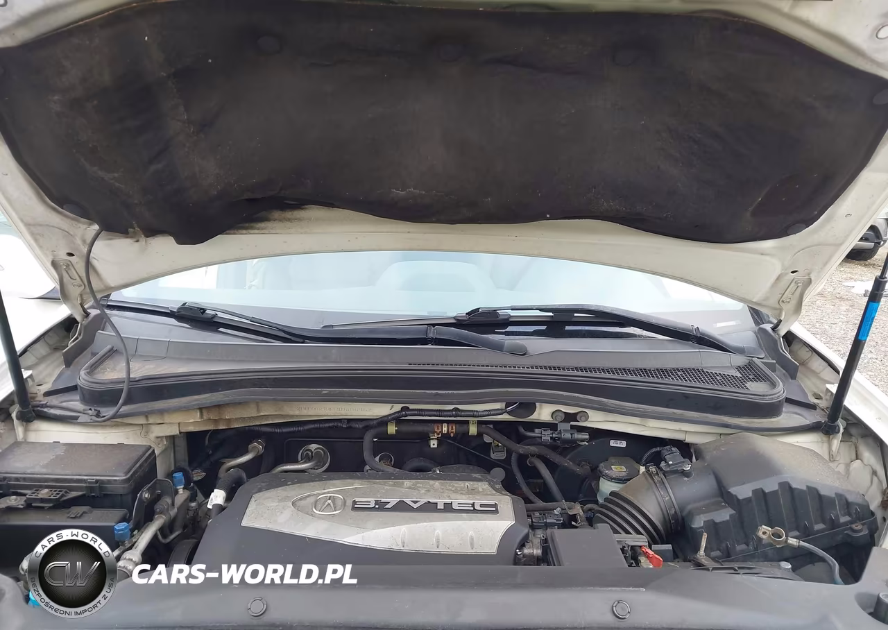 2009 Acura Mdx Technology Package VIN:2HNYD28419H506952 - 10