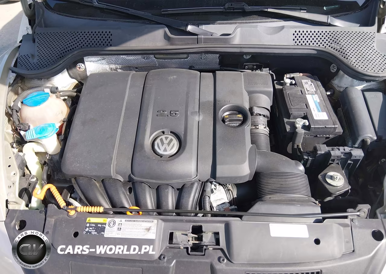 2013 Volkswagen Beetle 2.5L VIN:3VW5P7AT8DM817994 - 10