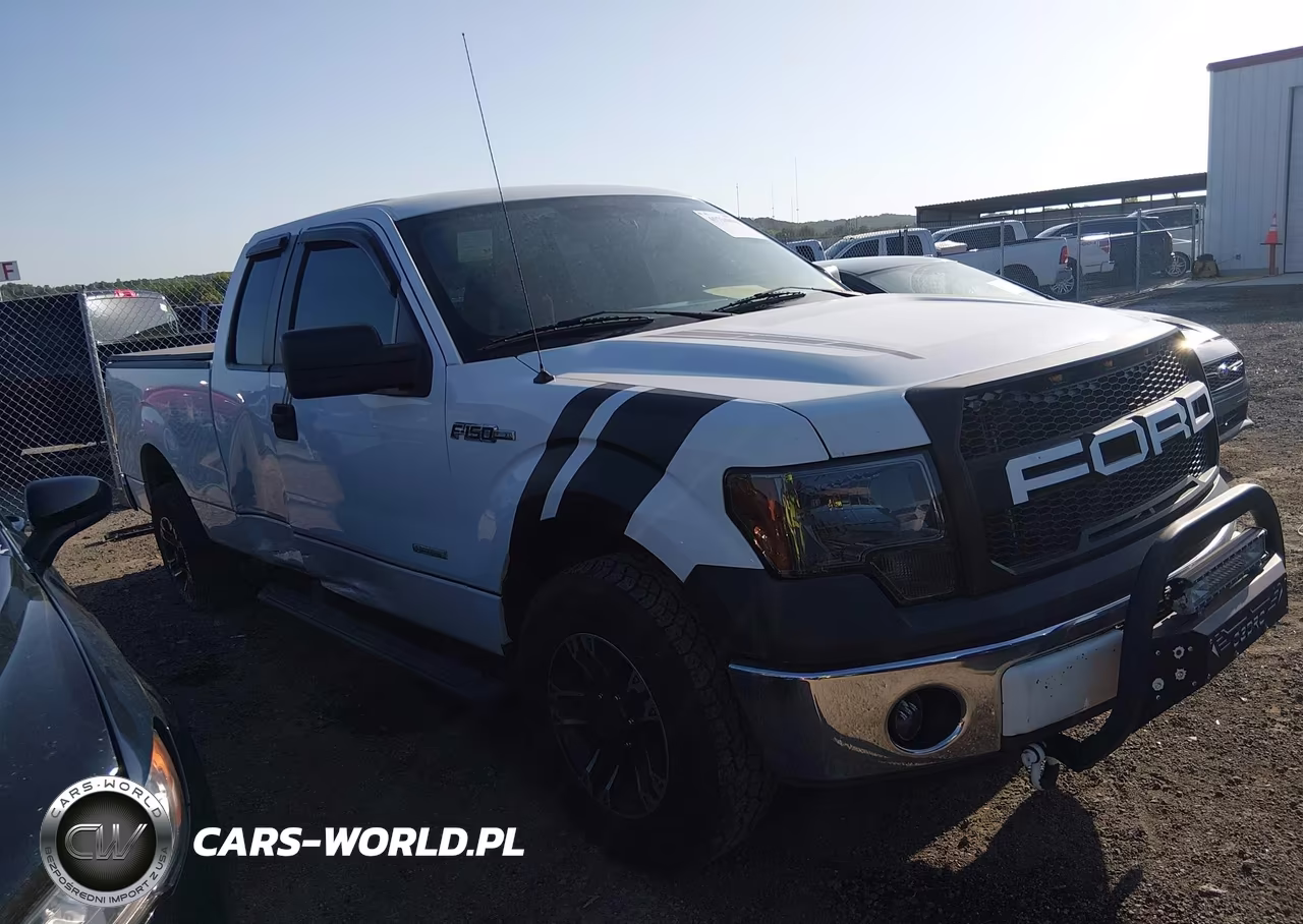 2012 Ford F-150 Xl VIN:1FTFX1CT0CFA45202 - 13