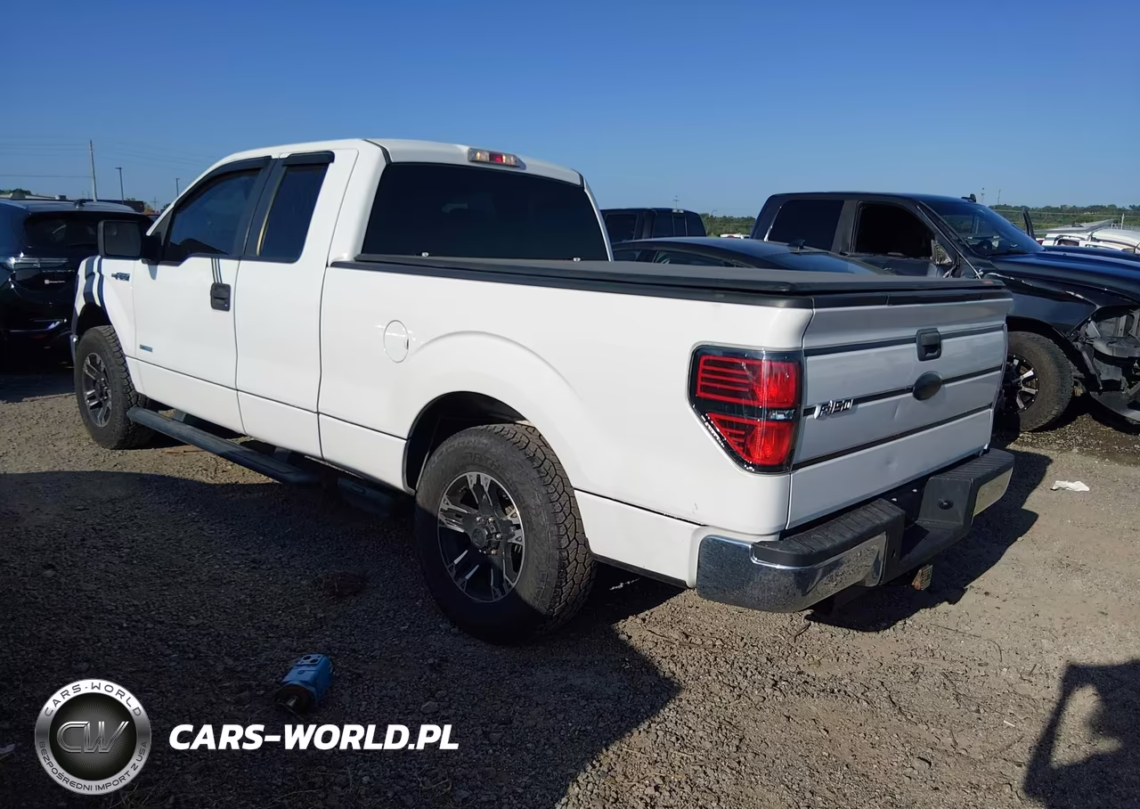 2012 Ford F-150 Xl VIN:1FTFX1CT0CFA45202 - 3