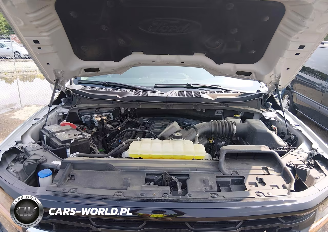 2024 Ford F-150 Xlt VIN:1FTFW3L57RKF06850 - 10