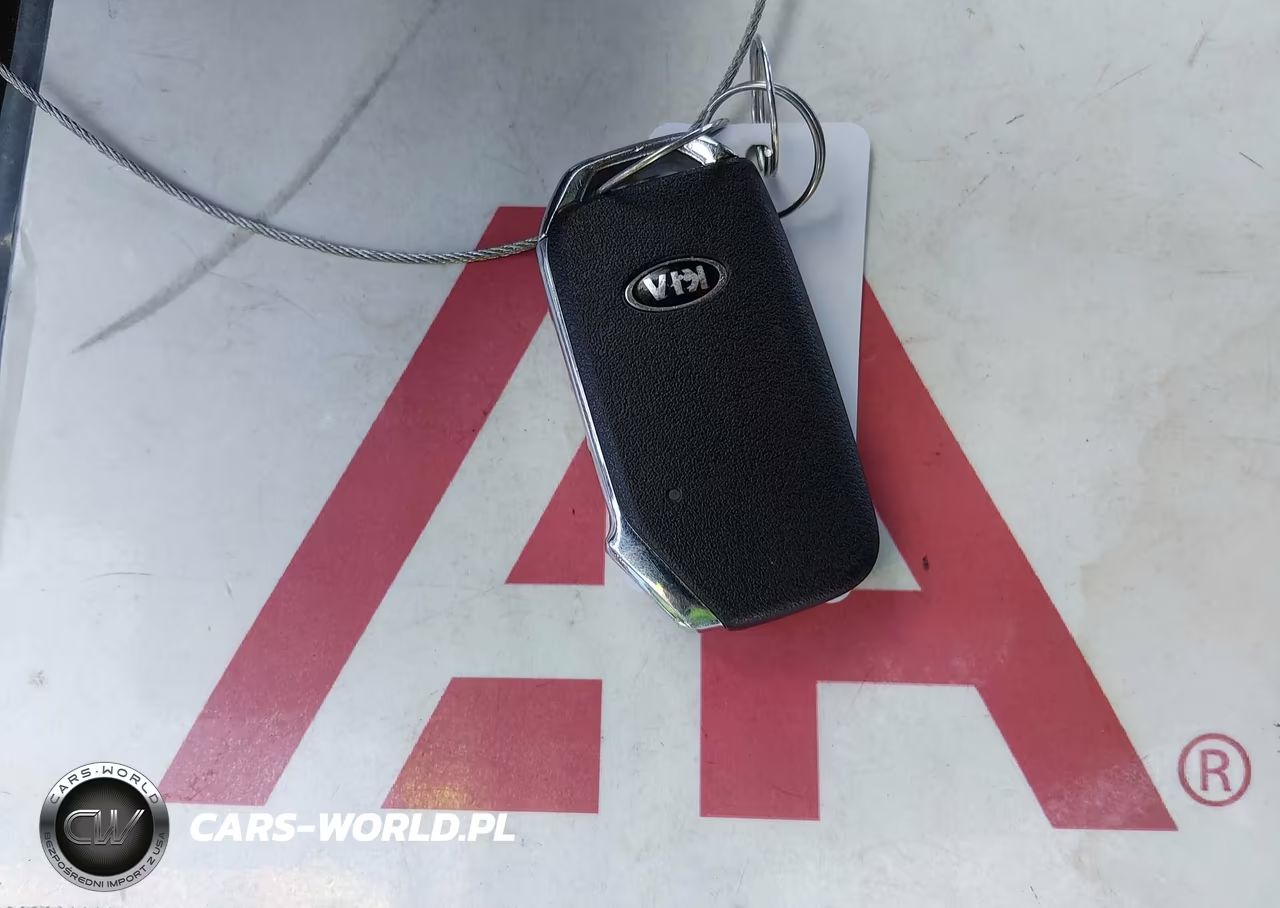 2020 Kia Telluride Sx VIN:5XYP5DHC7LG062886 - 11