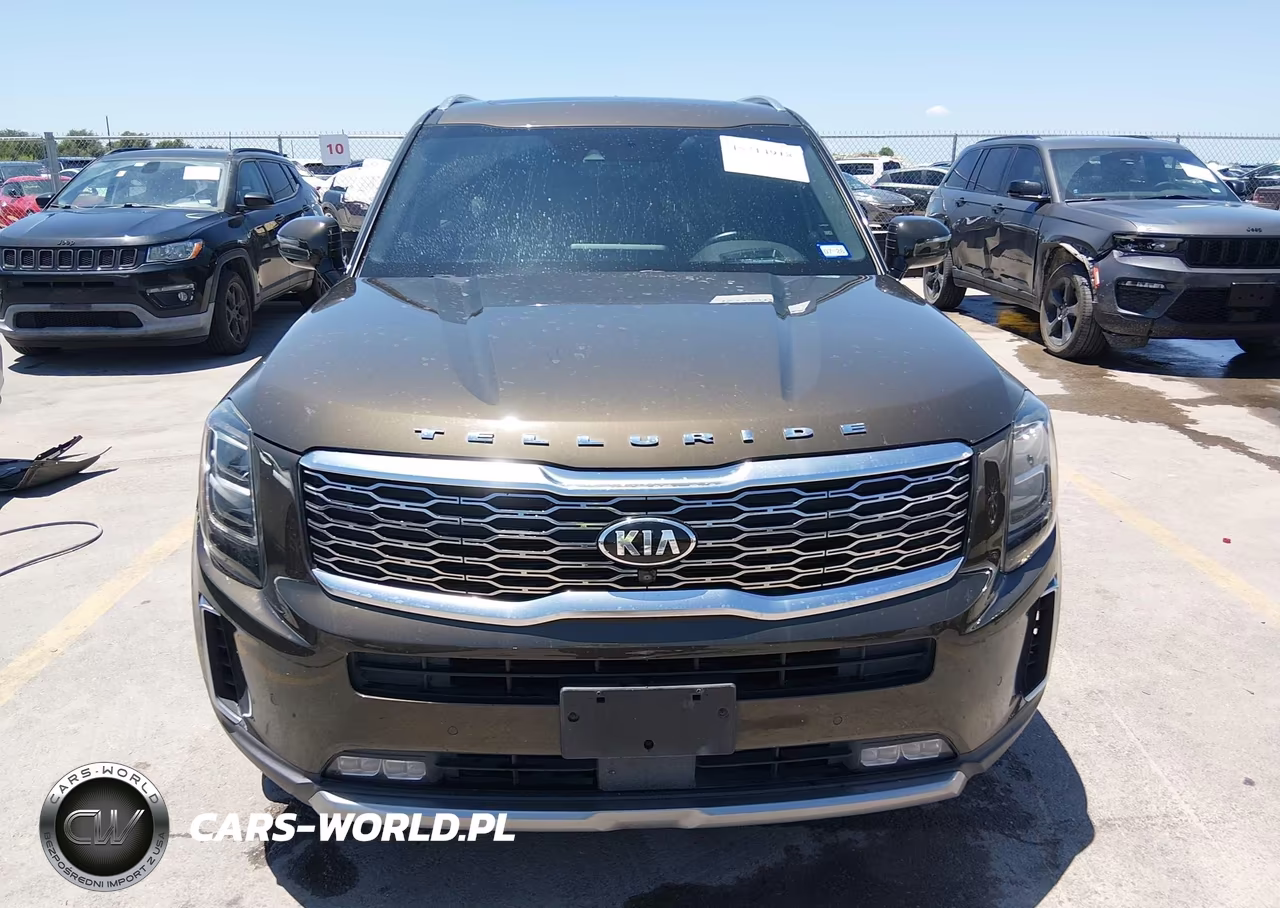 2020 Kia Telluride Sx VIN:5XYP5DHC7LG062886 - 12