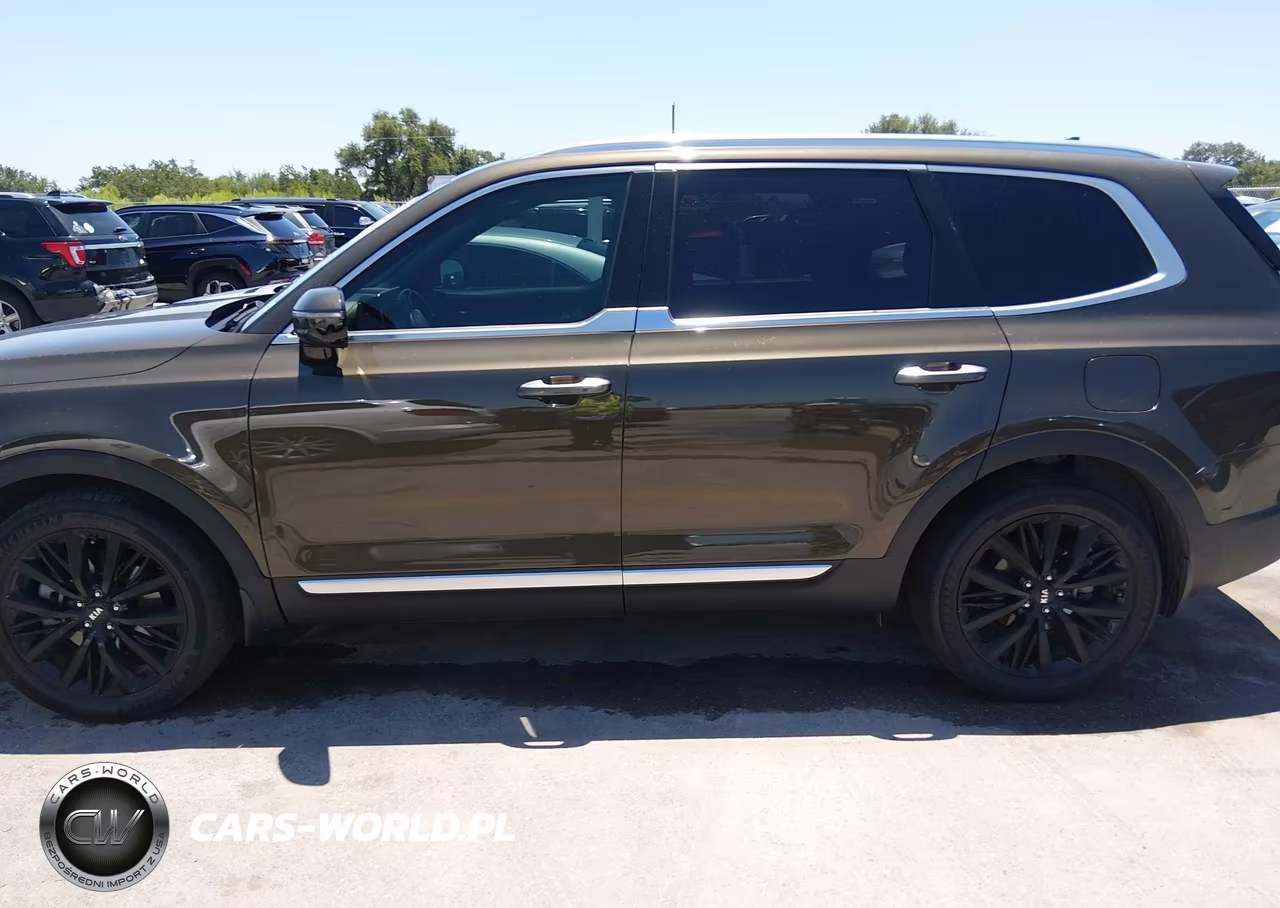 2020 Kia Telluride Sx VIN:5XYP5DHC7LG062886 - 14