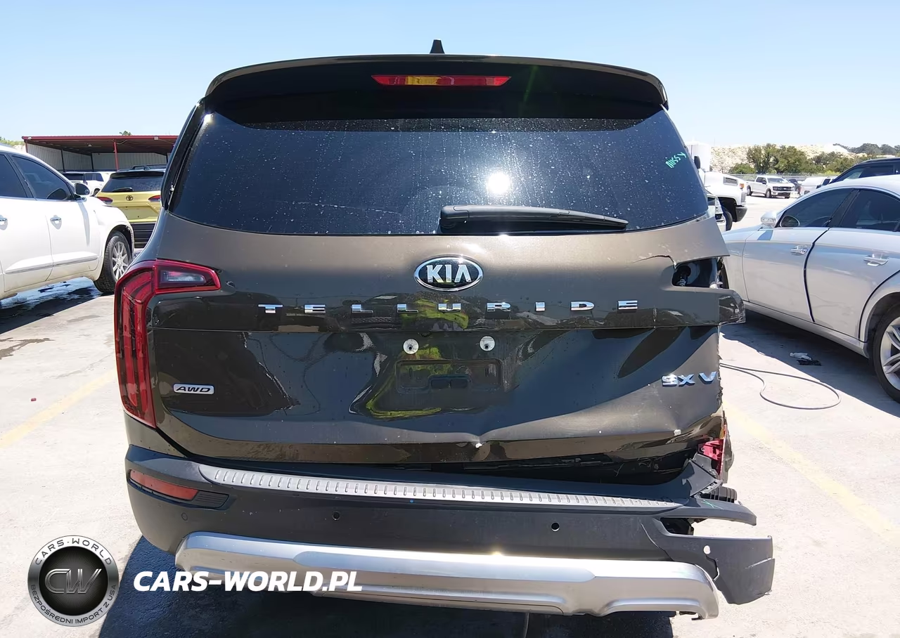 2020 Kia Telluride Sx VIN:5XYP5DHC7LG062886 - 16