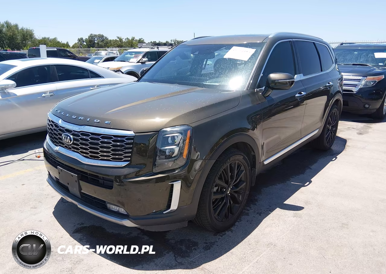 2020 Kia Telluride Sx VIN:5XYP5DHC7LG062886 - 2