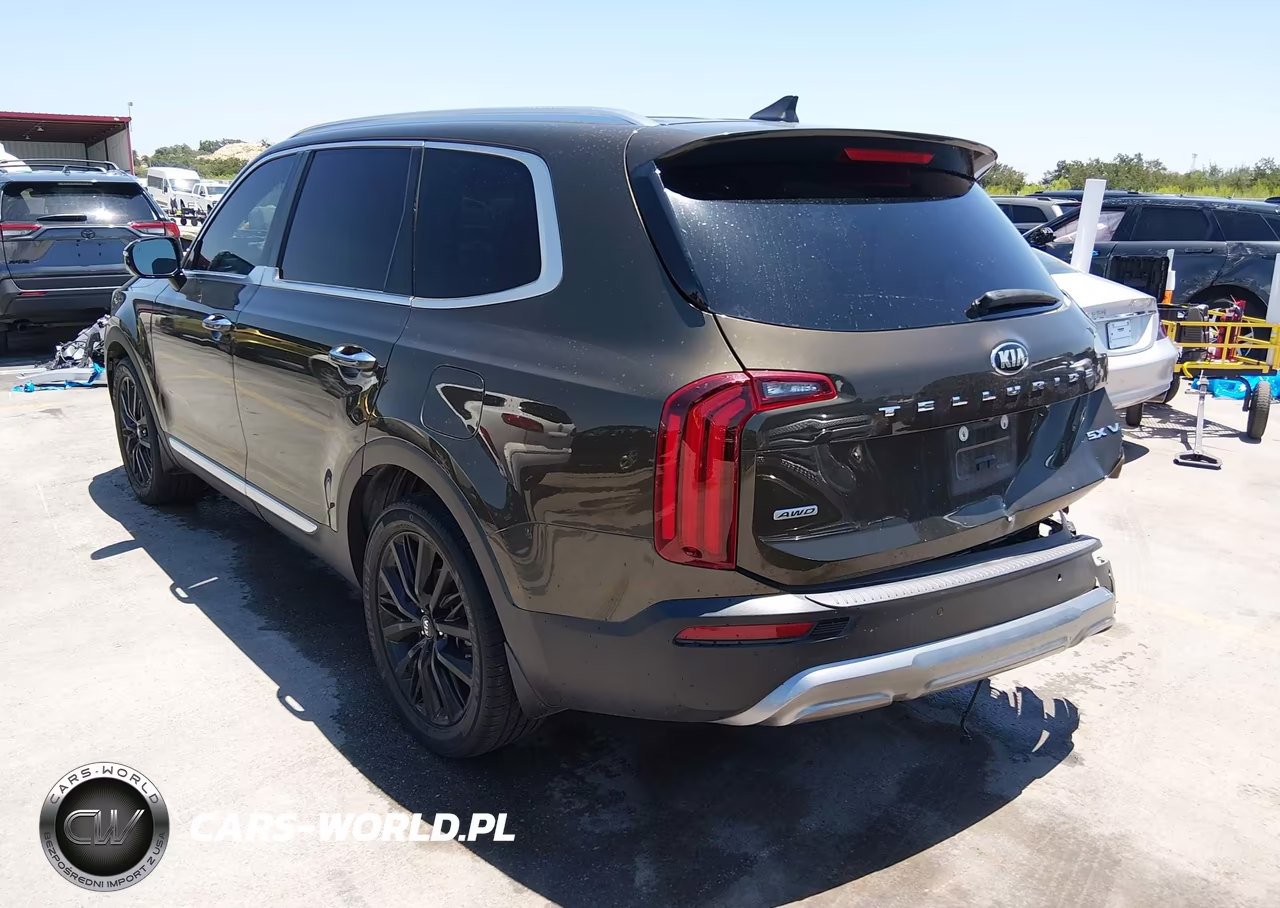 2020 Kia Telluride Sx VIN:5XYP5DHC7LG062886 - 3