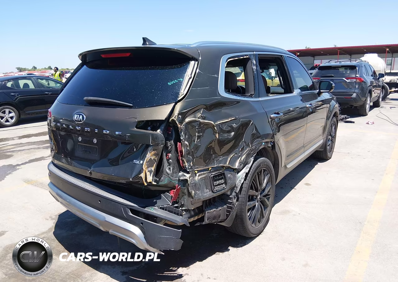 2020 Kia Telluride Sx VIN:5XYP5DHC7LG062886 - 4