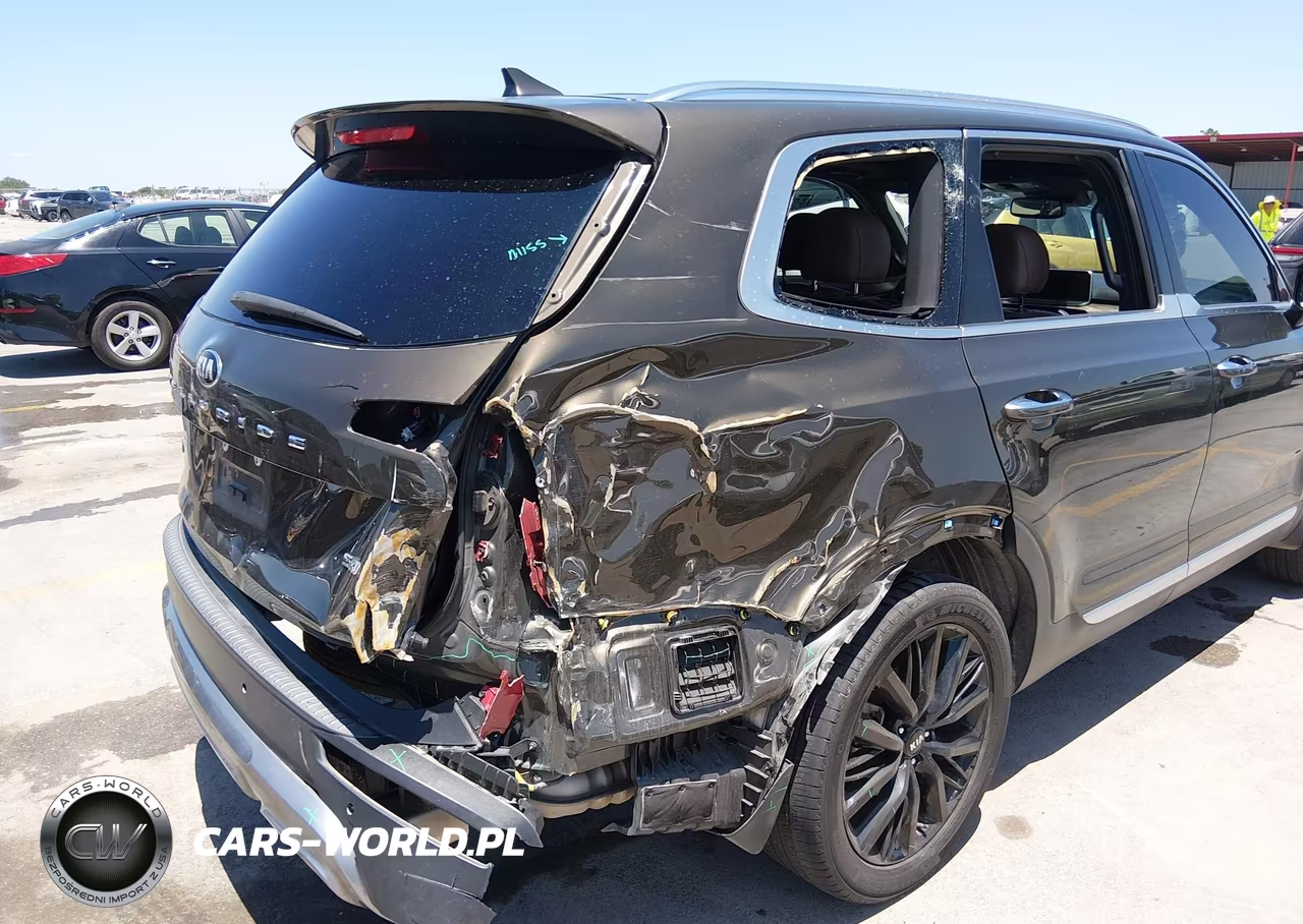 2020 Kia Telluride Sx VIN:5XYP5DHC7LG062886 - 6