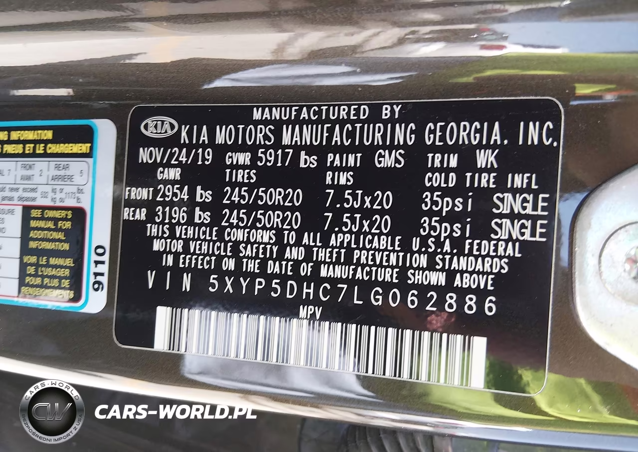 2020 Kia Telluride Sx VIN:5XYP5DHC7LG062886 - 9