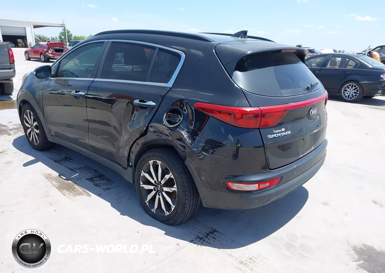 2019 Kia Sportage Ex VIN:KNDPN3AC2K7587645 - 3