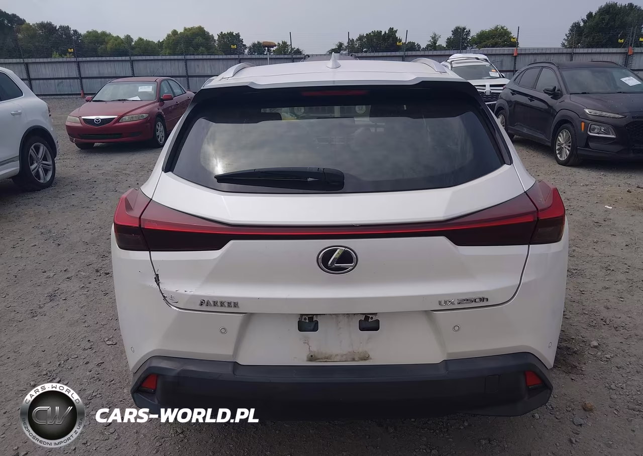 2020 Lexus Ux 250H VIN:JTHP9JBH4L2036567 - 17