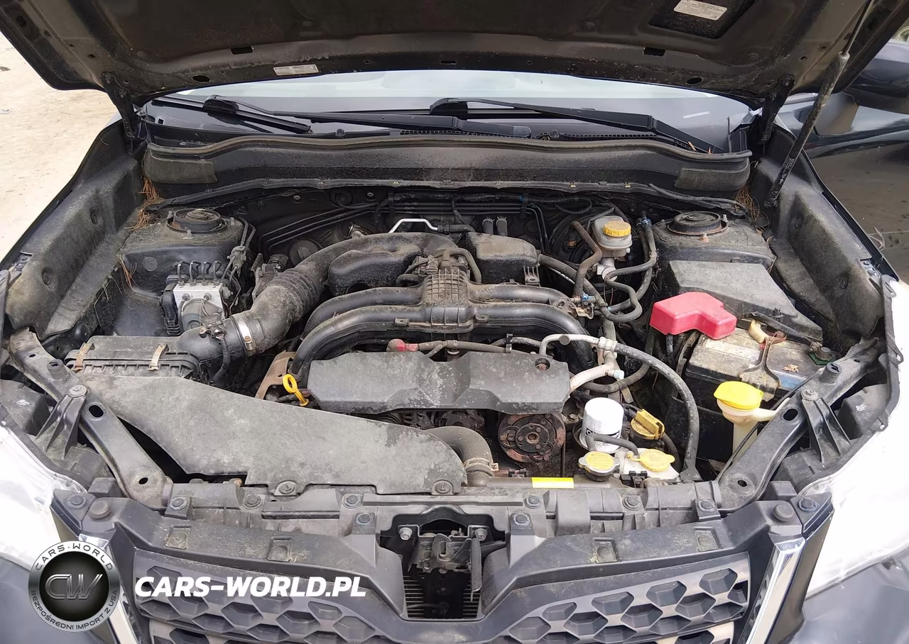 2015 Subaru Forester 2.5I Premium VIN:JF2SJADC8FH510298 - 10