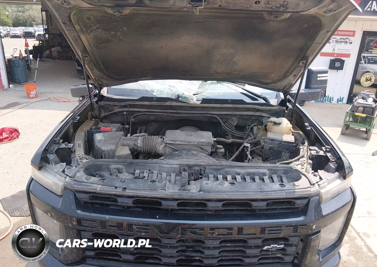 2020 Chevrolet Silverado 2500Hd 4Wd Standard Bed Custom VIN:1GC4YME77LF120208 - 10