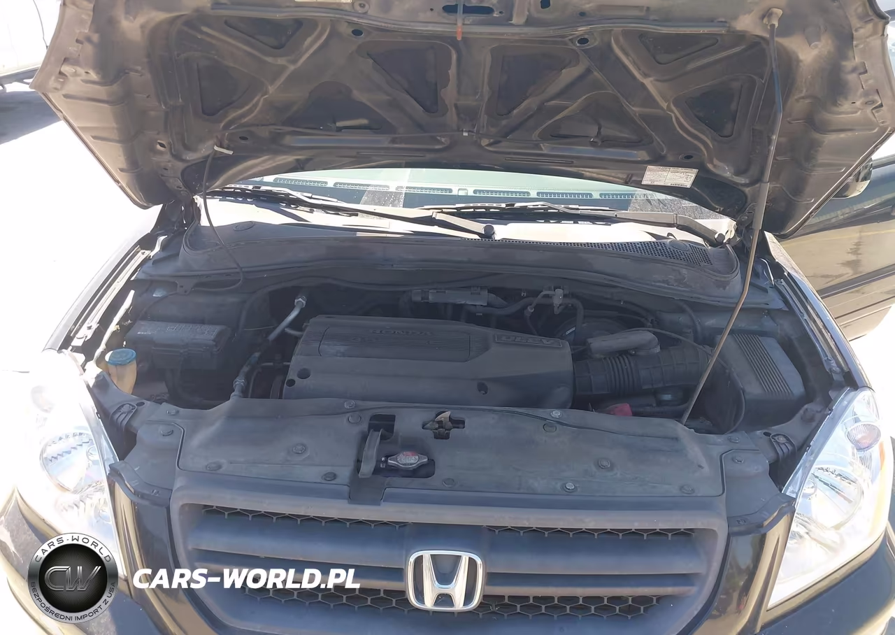 2004 Honda Pilot Ex VIN:2HKYF18474H568785 - 10