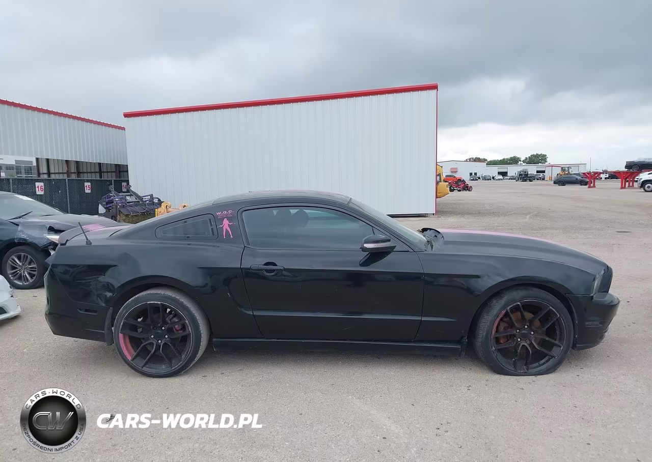 2014 Ford Mustang V6 VIN:1ZVBP8AM1E5261424 - 13