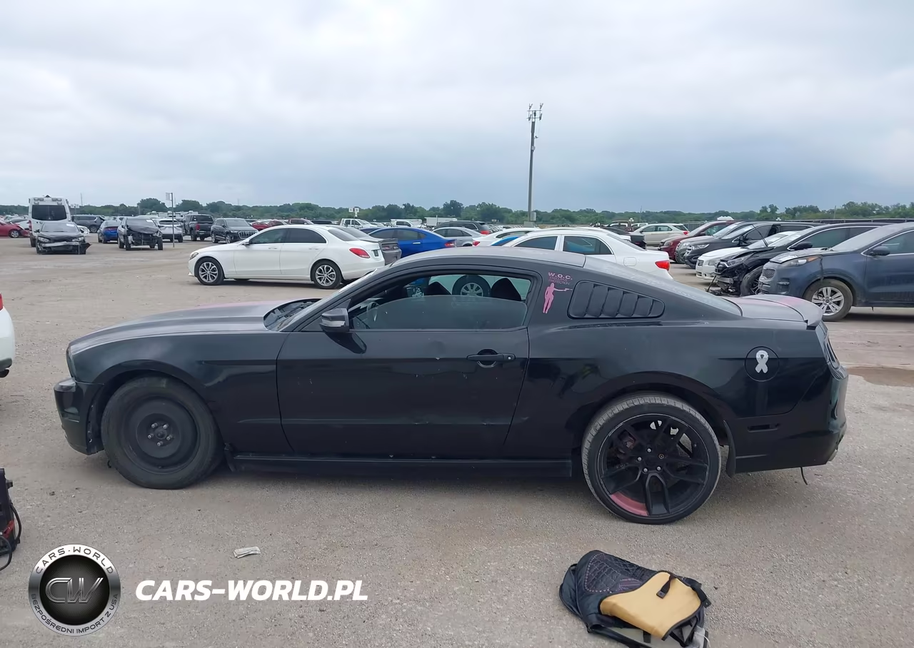 2014 Ford Mustang V6 VIN:1ZVBP8AM1E5261424 - 14
