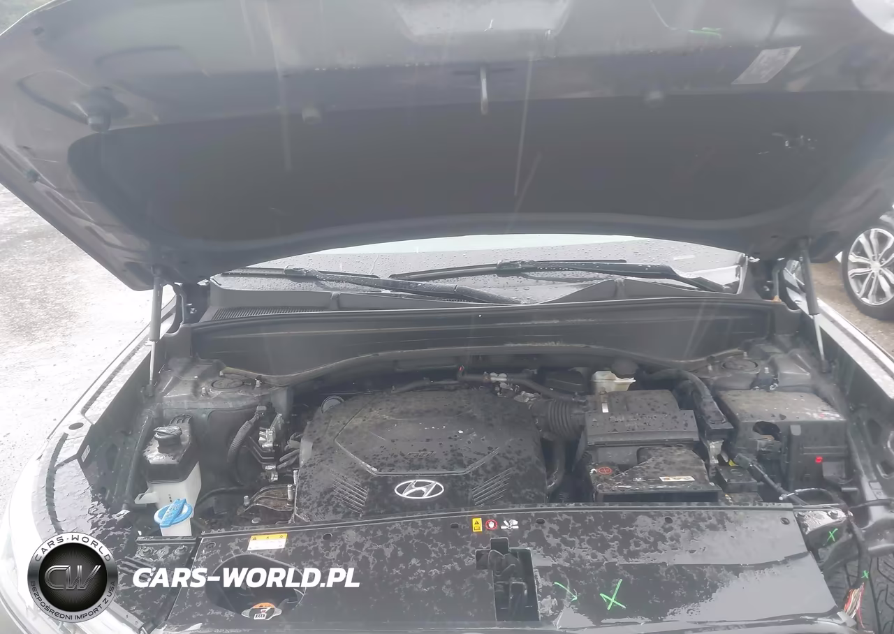2021 Hyundai Palisade Sel VIN:KM8R4DHE7MU224024 - 10