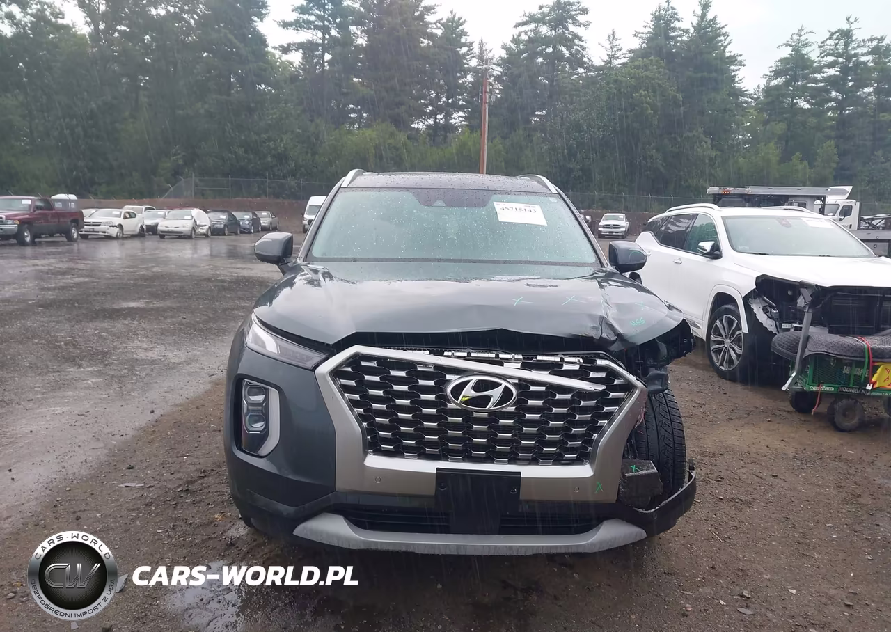 2021 Hyundai Palisade Sel VIN:KM8R4DHE7MU224024 - 13