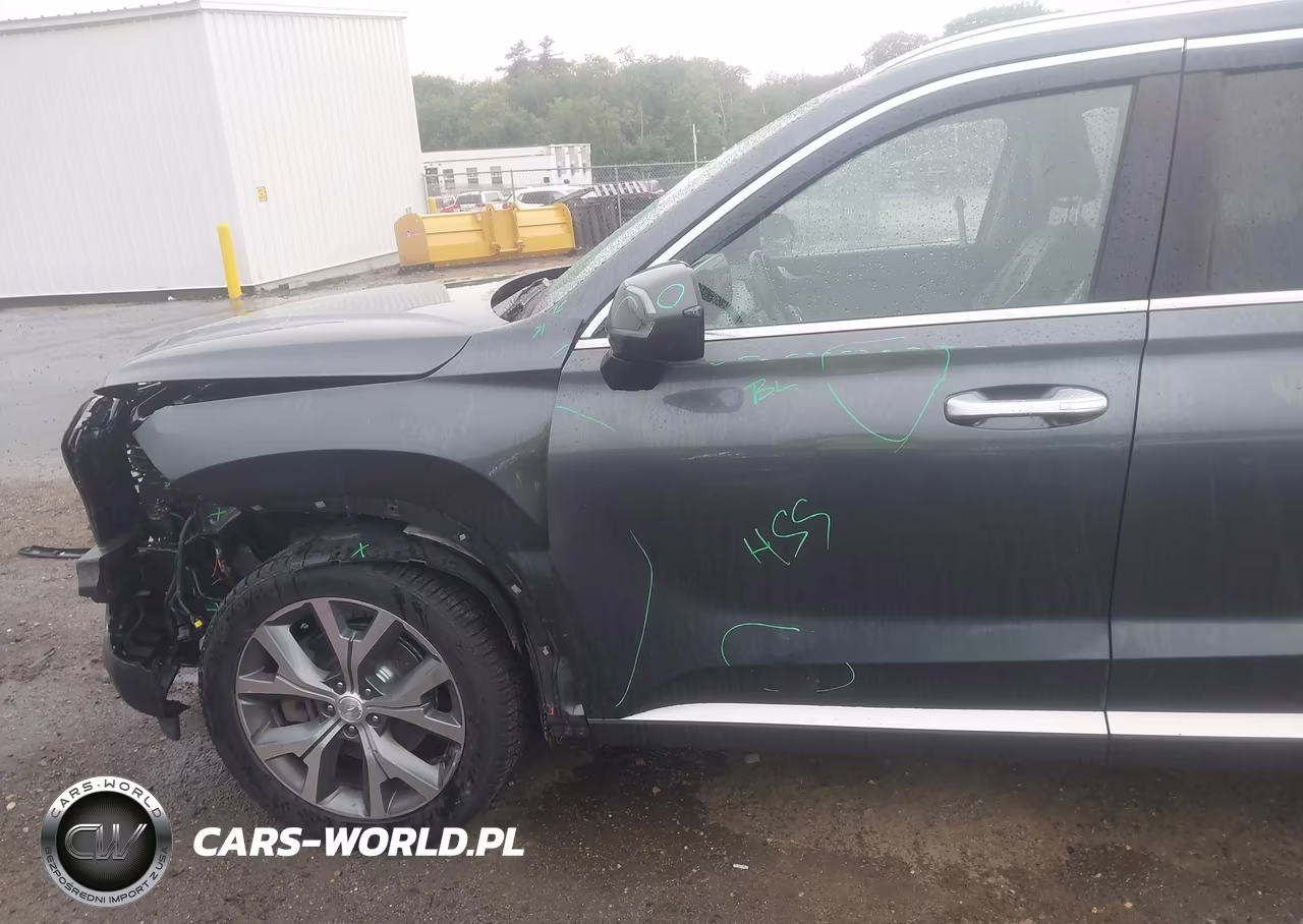 2021 Hyundai Palisade Sel VIN:KM8R4DHE7MU224024 - 18
