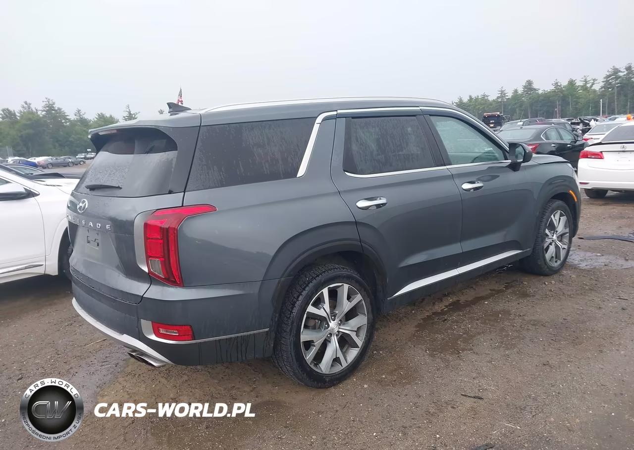 2021 Hyundai Palisade Sel VIN:KM8R4DHE7MU224024 - 4
