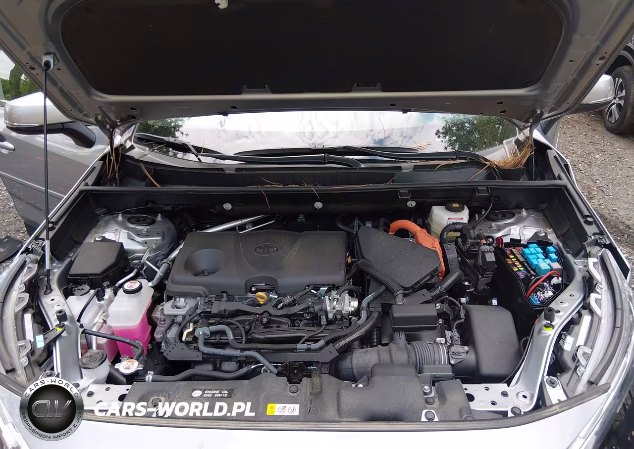 2025 Toyota Rav4 Hybrid Xle VIN:4T3RWRFV9SU187833 - 10