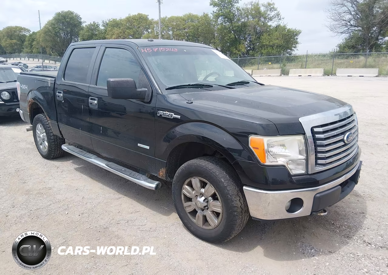 2011 Ford F-150 Xlt – zdjęcie 1 z 19
