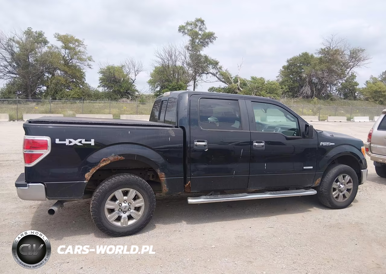 2011 Ford F-150 Xlt VIN:1FTFW1ET3BKE09098 - 13