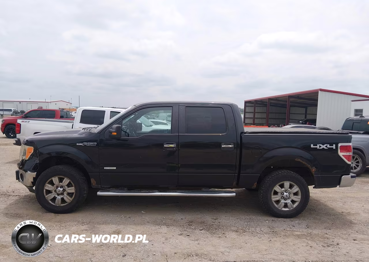 2011 Ford F-150 Xlt VIN:1FTFW1ET3BKE09098 - 14