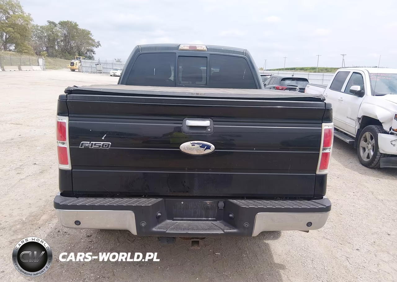 2011 Ford F-150 Xlt VIN:1FTFW1ET3BKE09098 - 16