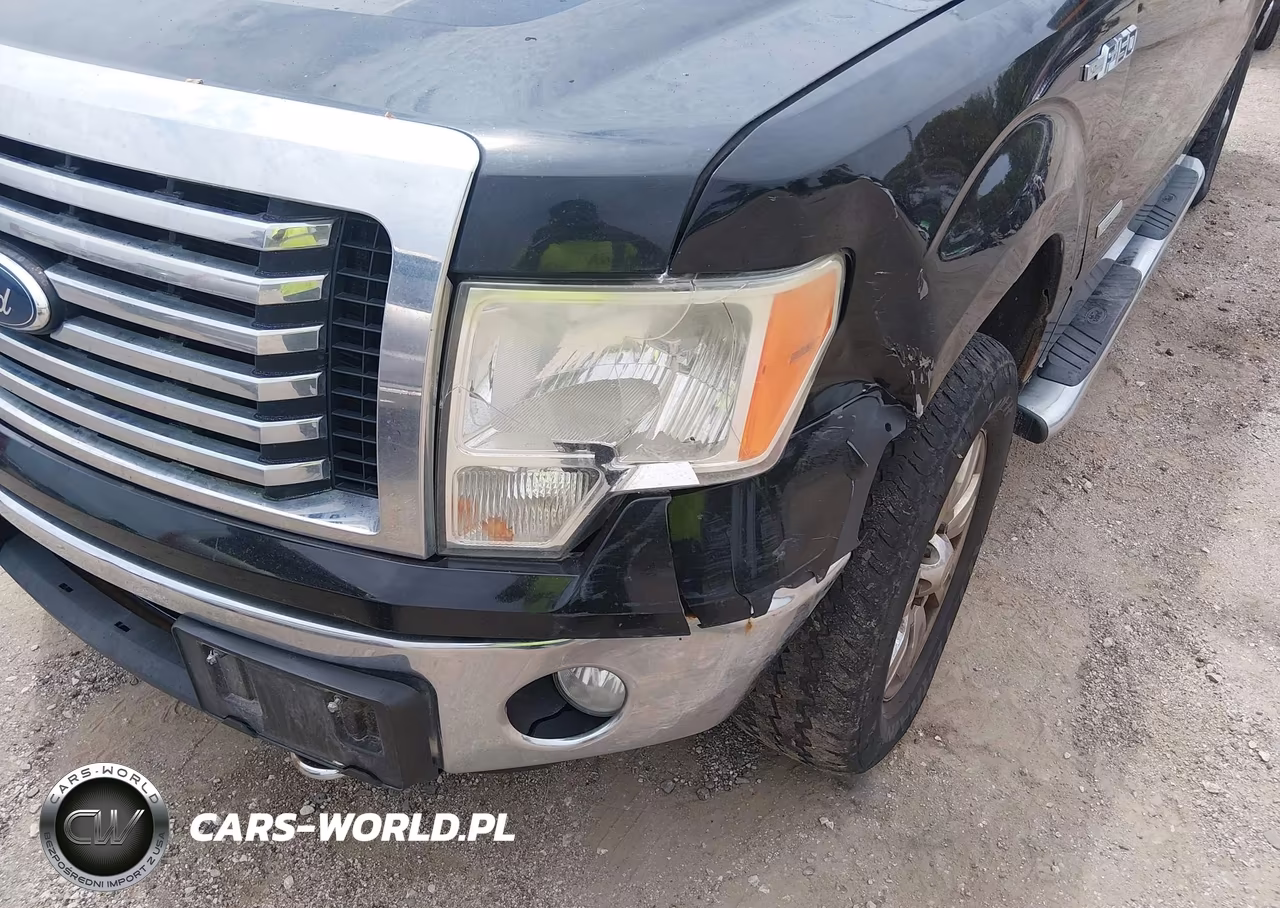 2011 Ford F-150 Xlt VIN:1FTFW1ET3BKE09098 - 17
