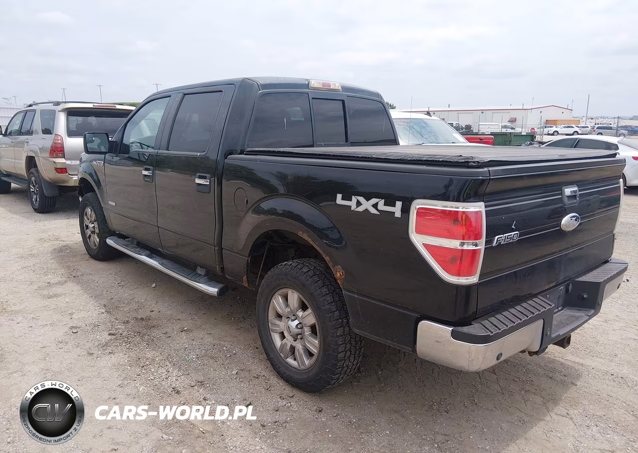 2011 Ford F-150 Xlt VIN:1FTFW1ET3BKE09098 - 3