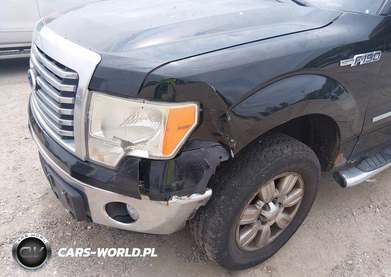 2011 Ford F-150 Xlt VIN:1FTFW1ET3BKE09098 - 6
