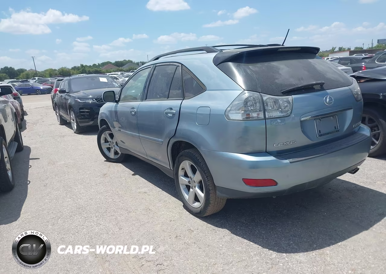 2004 Lexus Rx 330 VIN:JTJGA31U240034507 - 3